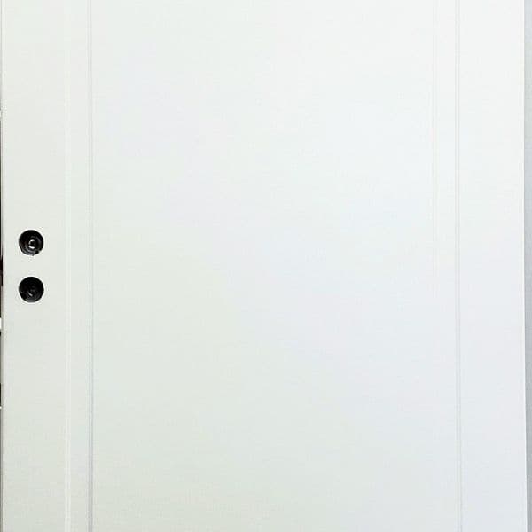 Дверь 255 — фото 1