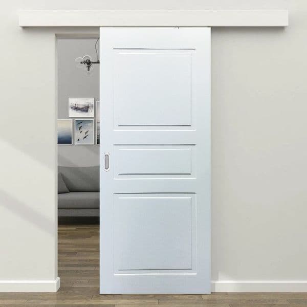 Дверь 251 dB раздвижная — фото 1